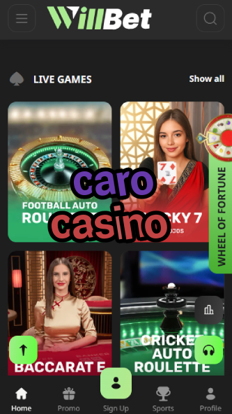 Caro Casino - Premium VIP Casino Treatment-www.bdqngd.com